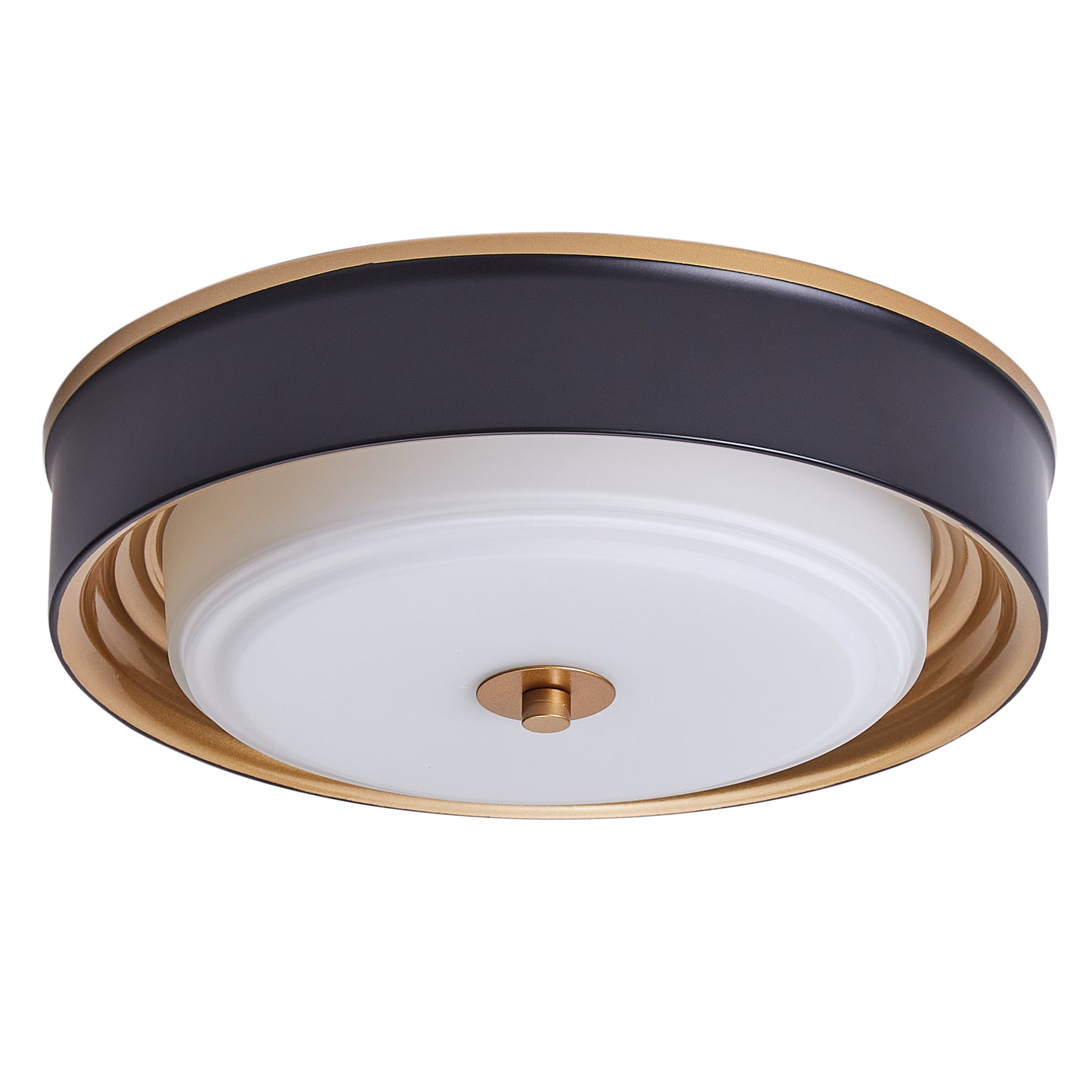 2-Lights Modern Inlaid Circle Design Flush Mount Lighting