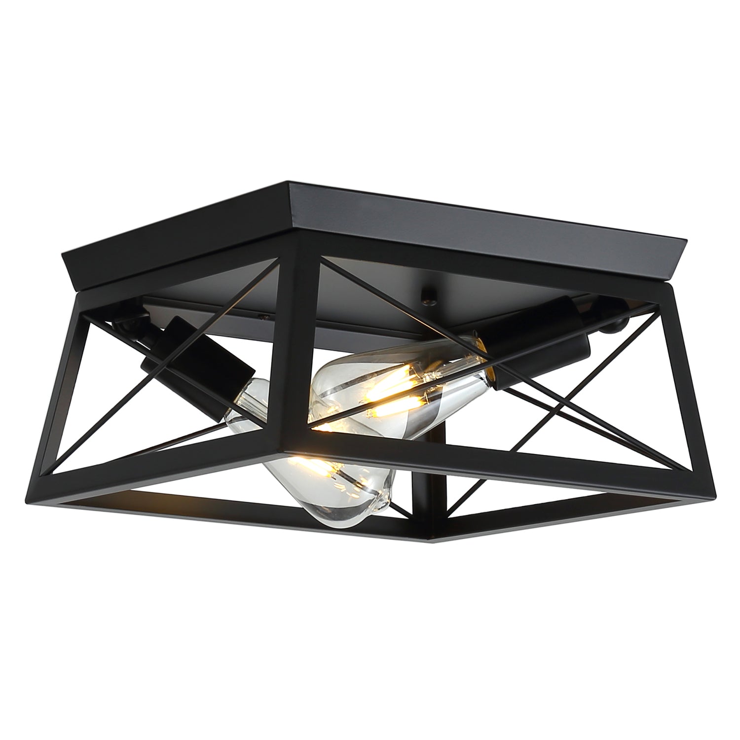 2-Lights Prismatic Metal Flush Mount Lighting