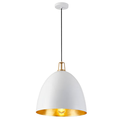 1-Light Dome Shade Design Pendant Lighting