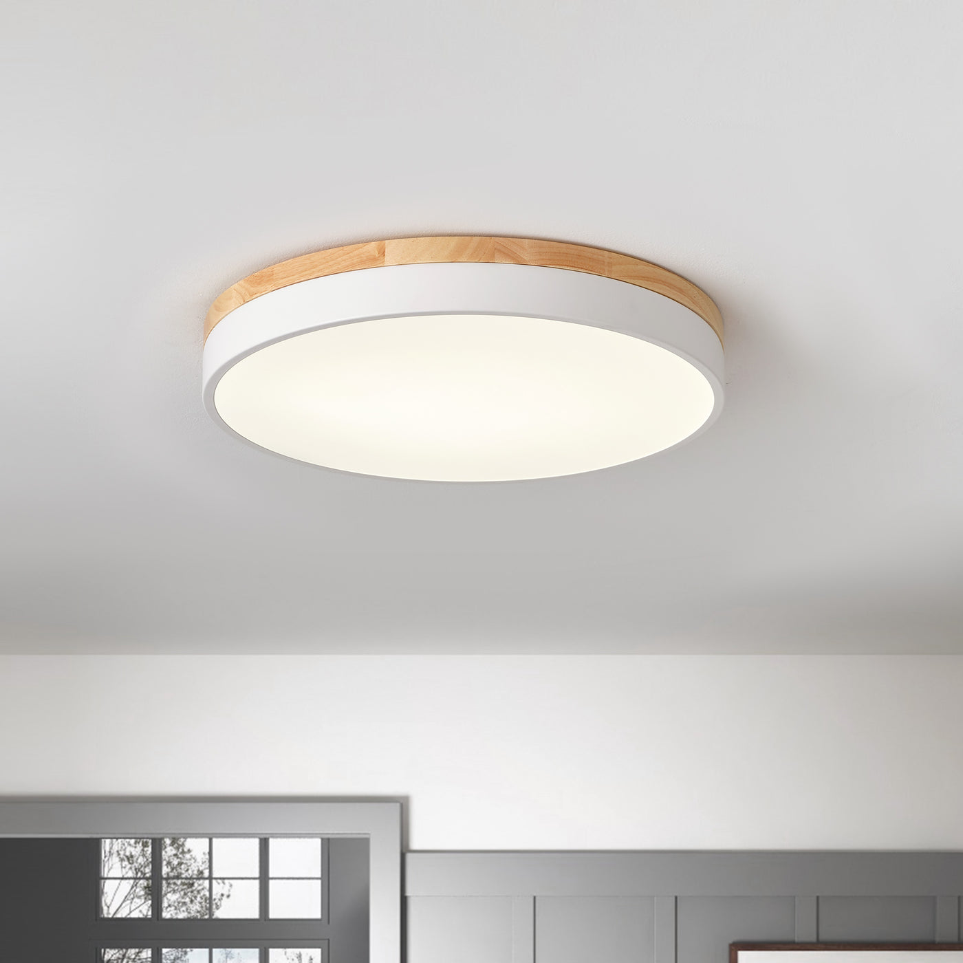 1-Light PS Diffuser Board Rounded Shape LED Flush Mount Lighting