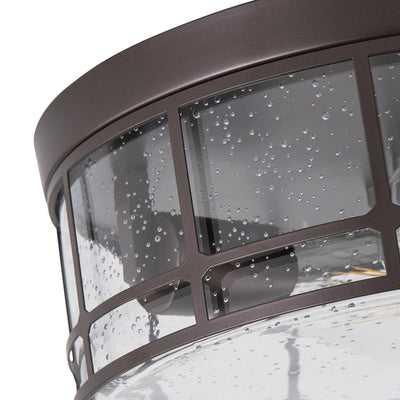2-Lights Metal Clear Bubble Glass Shade Flush Mount Lighting