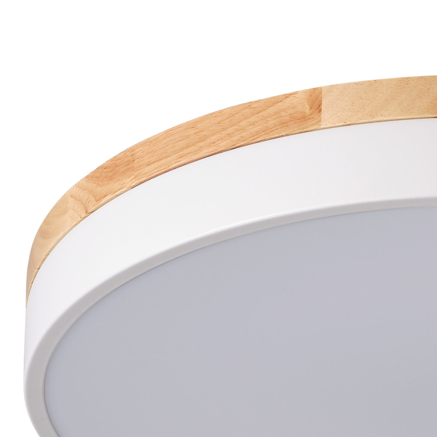 1-Light PS Diffuser Board Rounded Shape LED Flush Mount Lighting