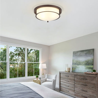 2-Lights Classic Modern Dimmable Flush Mount Lighting