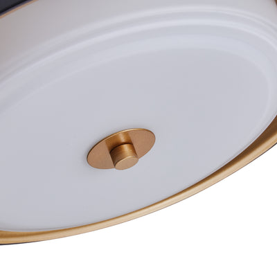 2-Lights Modern Inlaid Circle Design Flush Mount Lighting