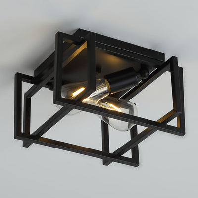 2-Lights Metal Caged Design Flush Mount Lighting