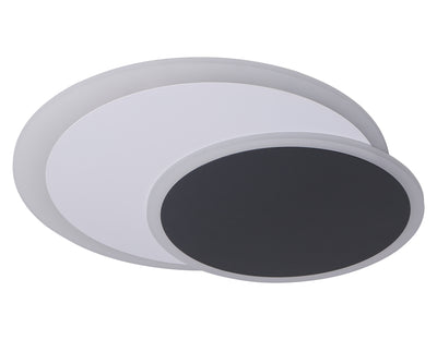 2-Lights Acrylic Minimalist LED Flush Mount Lighting